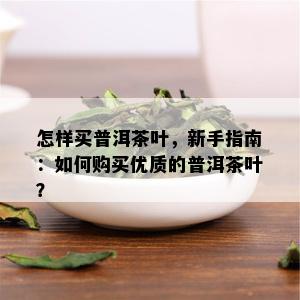 怎样买普洱茶叶，新手指南：如何购买优质的普洱茶叶？