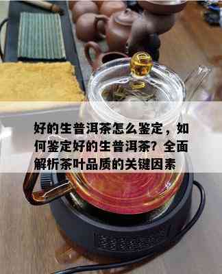 好的生普洱茶怎么鉴定，如何鉴定好的生普洱茶？全面解析茶叶品质的关键因素