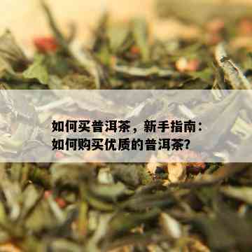 如何买普洱茶，新手指南：如何购买优质的普洱茶？