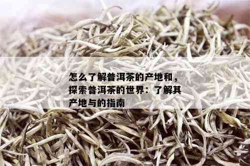 怎么了解普洱茶的产地和，探索普洱茶的世界：了解其产地与的指南