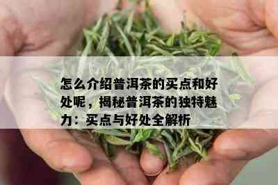 怎么介绍普洱茶的买点和好处呢，揭秘普洱茶的独特魅力：买点与好处全解析