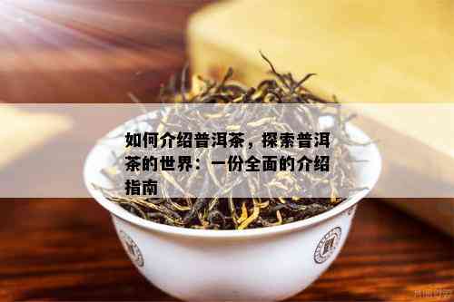 如何介绍普洱茶，探索普洱茶的世界：一份全面的介绍指南