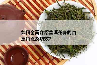 如何全面介绍普洱茶膏的口感特点及功效?