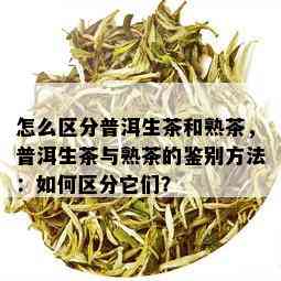 怎么区分普洱生茶和熟茶，普洱生茶与熟茶的鉴别方法：如何区分它们？