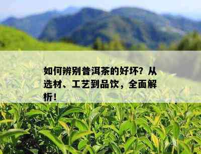 如何辨别普洱茶的好坏？从选材、工艺到品饮，全面解析！