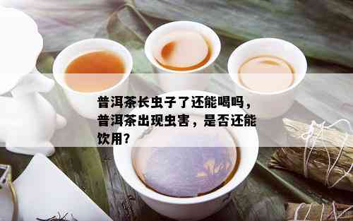 普洱茶长虫子了还能喝吗，普洱茶出现虫害，是否还能饮用？