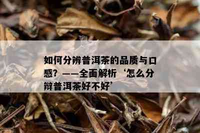 如何分辨普洱茶的品质与口感？——全面解析‘怎么分辩普洱茶好不好’