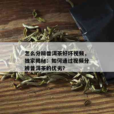 怎么分辩普洱茶好坏视频，独家揭秘：如何通过视频分辨普洱茶的优劣？