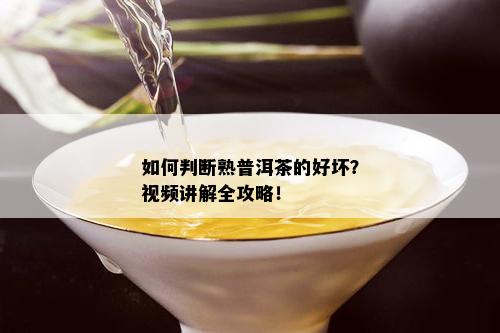 如何判断熟普洱茶的好坏？视频讲解全攻略！