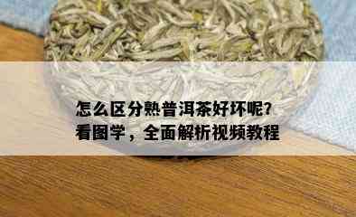 怎么区分熟普洱茶好坏呢？看图学，全面解析视频教程