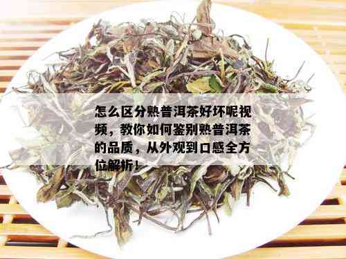 怎么区分熟普洱茶好坏呢视频，教你如何鉴别熟普洱茶的品质，从外观到口感全方位解析！