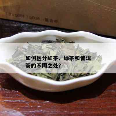 如何区分红茶、绿茶和普洱茶的不同之处？