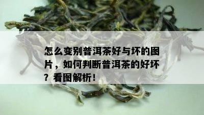 怎么变别普洱茶好与坏的图片，如何判断普洱茶的好坏？看图解析！