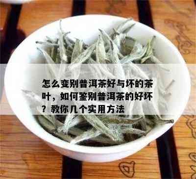 怎么变别普洱茶好与坏的茶叶，如何鉴别普洱茶的好坏？教你几个实用方法