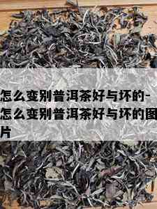 怎么变别普洱茶好与坏的-怎么变别普洱茶好与坏的图片