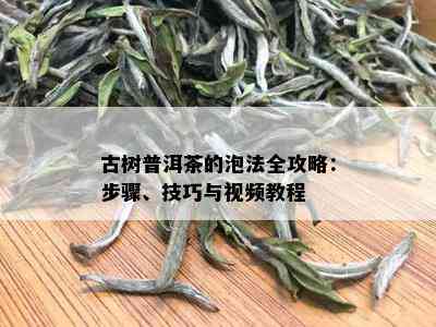 古树普洱茶的泡法全攻略：步骤、技巧与视频教程