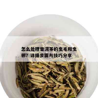 怎么处理普洱茶的虫毛和虫卵？详细步骤与技巧分享