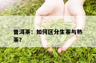 普洱茶：如何区分生茶与熟茶？