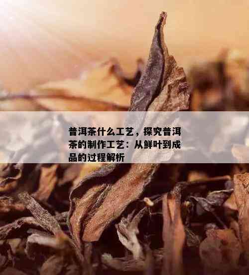 普洱茶什么工艺，探究普洱茶的制作工艺：从鲜叶到成品的过程解析