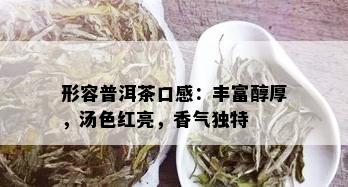 形容普洱茶口感：丰富醇厚，汤色红亮，香气独特