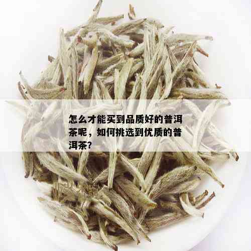 怎么才能买到品质好的普洱茶呢，如何挑选到优质的普洱茶？