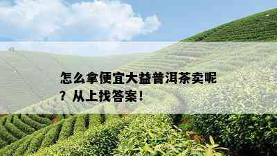 怎么拿便宜大益普洱茶卖呢？从上找答案！