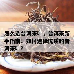 怎么选普洱茶叶，普洱茶新手指南：如何选择优质的普洱茶叶？