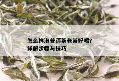 怎么样泡普洱茶老茶好喝？详解步骤与技巧