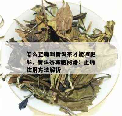 怎么正确喝普洱茶才能减肥呢，普洱茶减肥秘籍：正确饮用方法解析