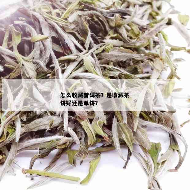 怎么收藏普洱茶？是收藏茶饼好还是单饼？