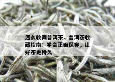 怎么收藏普洱茶，普洱茶收藏指南：学会正确保存，让好茶更持久