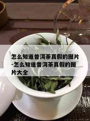 怎么知道普洱茶真假的图片-怎么知道普洱茶真假的图片大全