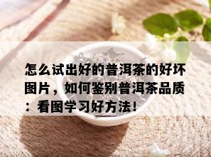 怎么试出好的普洱茶的好坏图片，如何鉴别普洱茶品质：看图学习好方法！