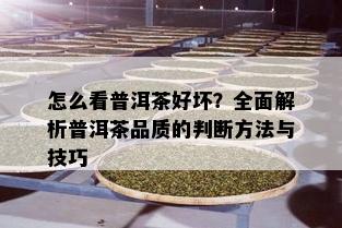 怎么看普洱茶好坏？全面解析普洱茶品质的判断方法与技巧