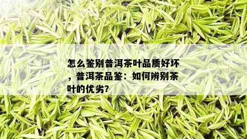 怎么鉴别普洱茶叶品质好坏，普洱茶品鉴：如何辨别茶叶的优劣？