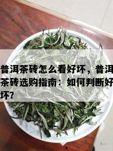 普洱茶砖怎么看好坏，普洱茶砖选购指南：如何判断好坏？