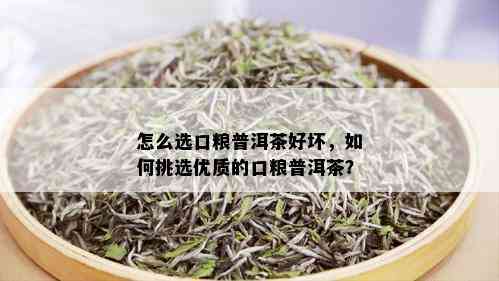 怎么选口粮普洱茶好坏，如何挑选优质的口粮普洱茶？