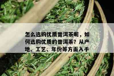 怎么选购优质普洱茶呢，如何选购优质的普洱茶？从产地、工艺、年份等方面入手