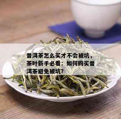 普洱茶怎么买才不会被坑，茶叶新手必看：如何购买普洱茶避免被坑？