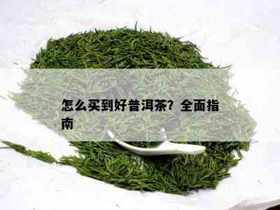 怎么买到好普洱茶？全面指南