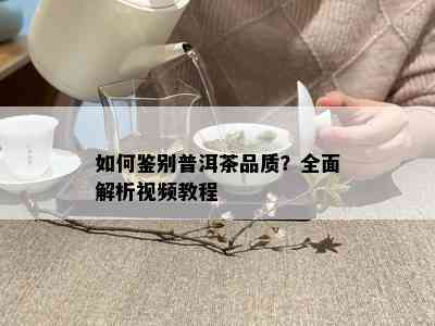 如何鉴别普洱茶品质？全面解析视频教程