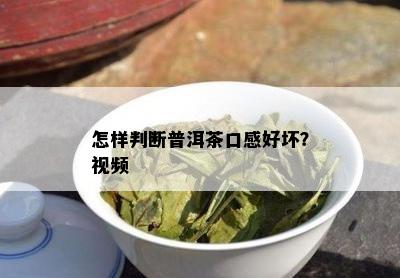 怎样判断普洱茶口感好坏？视频