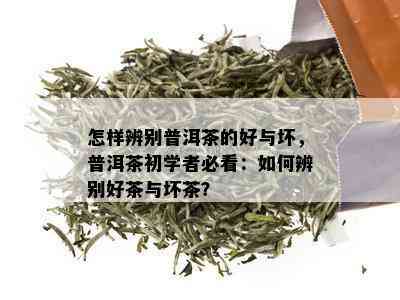 怎样辨别普洱茶的好与坏，普洱茶初学者必看：如何辨别好茶与坏茶？