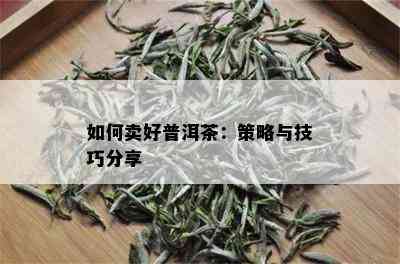 如何卖好普洱茶：策略与技巧分享