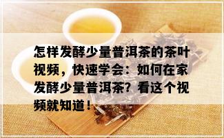 怎样发酵少量普洱茶的茶叶视频，快速学会：如何在家发酵少量普洱茶？看这个视频就知道！