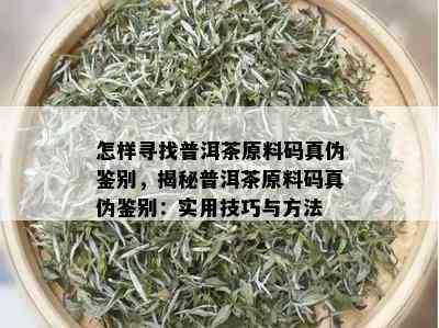 怎样寻找普洱茶原料码真伪鉴别，揭秘普洱茶原料码真伪鉴别：实用技巧与方法