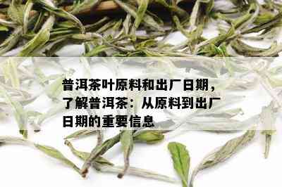 普洱茶叶原料和出厂日期，了解普洱茶：从原料到出厂日期的重要信息