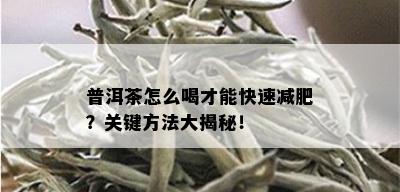 普洱茶怎么喝才能快速减肥？关键方法大揭秘！