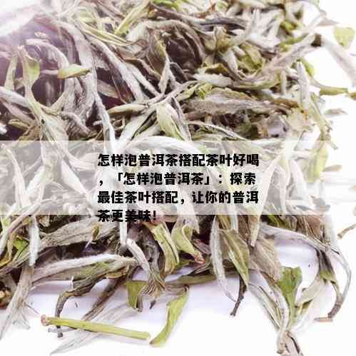 怎样泡普洱茶搭配茶叶好喝，「怎样泡普洱茶」：探索更佳茶叶搭配，让你的普洱茶更美味！