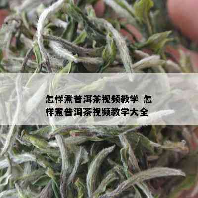 怎样煮普洱茶视频教学-怎样煮普洱茶视频教学大全